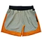 shots, gym shorts, running shorts